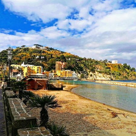 Il Fungo Di Lacco Lacco Ameno  Exterior foto
