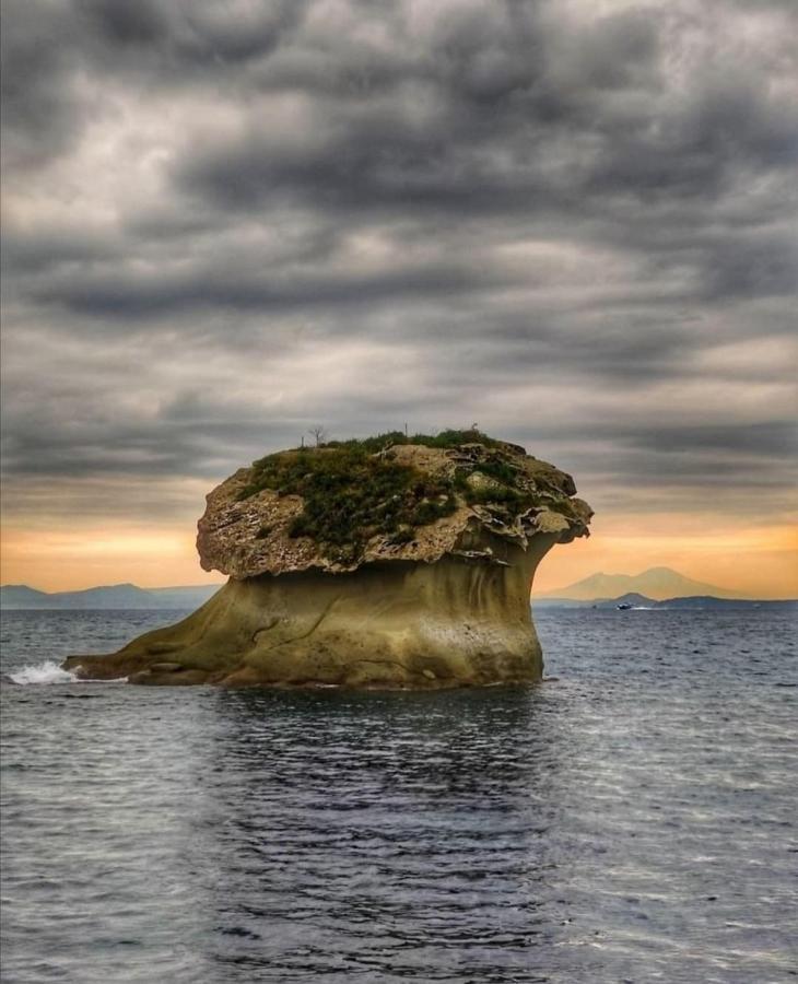 Il Fungo Di Lacco Lacco Ameno  Exterior foto