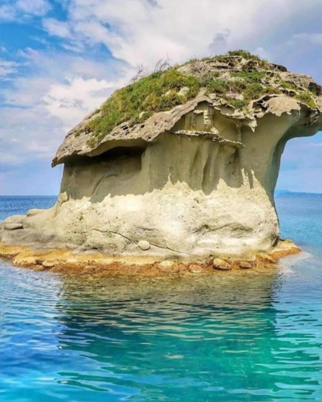 Il Fungo Di Lacco Lacco Ameno  Exterior foto